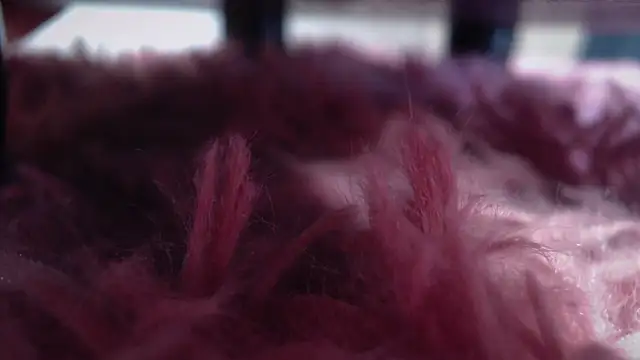 Taylor dolll online show from 10-01-25, 02:12