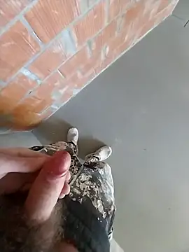 MaksDzubaV online show from 03-07-26, 11:18