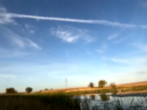 bwcizThrobbing online show from 10-22-25, 11:26