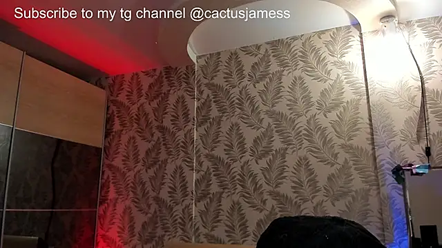 Snapshot of Cactus__James chatting on 10-02-25, 12:28 Cactus James online show from 10-02-25, 12:28