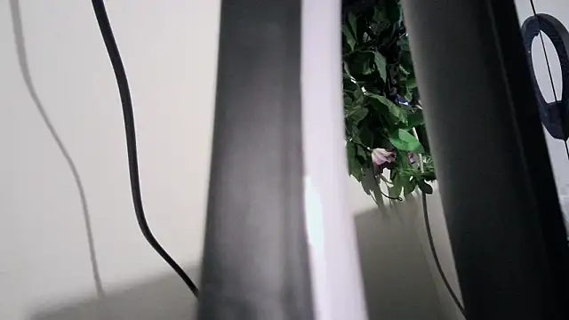 cherryboom23 online show from 03-19-26, 07:18