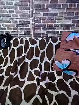 Casadaculona30 online show from 03-03-26, 02:39