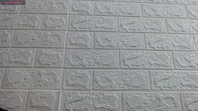 Snapshot of nei_girl chatting on 03-14-26, 11:37 nei girl online show from 03-14-26, 11:37