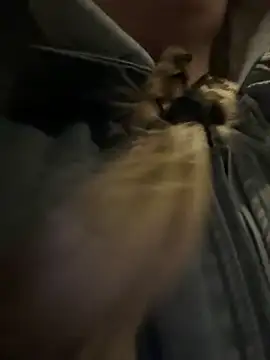 bambi lu online show from 03-15-26, 06:58