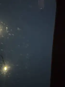 Eriksson00 online show from 12-19-25, 07:48