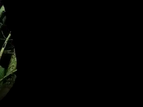 ConfidedAward online show from 09-13-25, 11:21