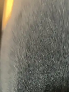 xiaoyuan01 online show from 03-09-26, 02:04