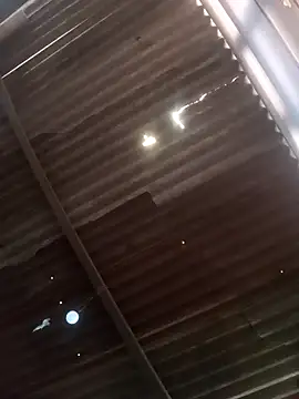 Snapshot of srtsara chatting on 02-20-26, 08:42 srtsara online show from 02-20-26, 08:42