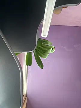 Soft Pleasure online show from 10-22-25, 10:59