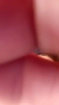 Snapshot of Fox_Roxxan chatting on 09-22-25, 06:32 Fox Roxxan online show from 09-22-25, 06:32