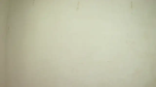 SelenaKayle online show from 10-24-25, 04:14