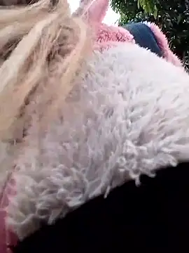 Snapshot of Daliana_Gounbolt chatting on 09-26-25, 11:14 Daliana Gounbolt online show from 09-26-25, 11:14