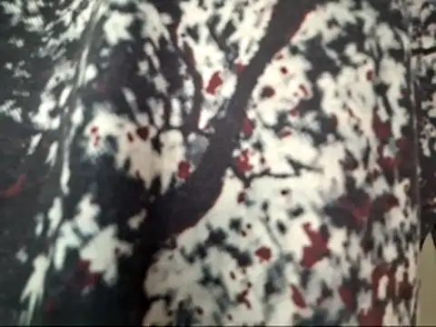 dabeibe online show from 01-16-26, 08:57