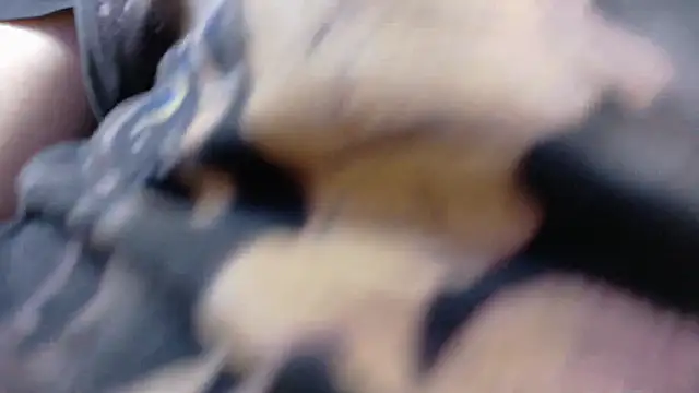 Witch Scarlet online show from 03-25-26, 01:00