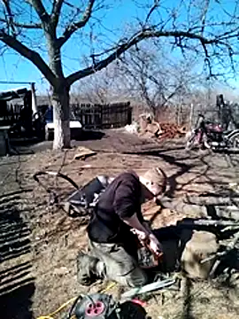 Snapshot of Alexilon chatting on 03-10-26, 11:15 Alexilon online show from 03-10-26, 11:15