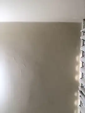 MusaAyla online show from 02-08-26, 05:05