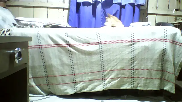 20cmloiro online show from 07-02-26, 12:32