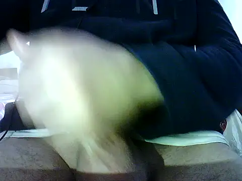 Snapshot of photo3995 chatting on 01-12-26, 09:47 photo3995 online show from 01-12-26, 09:47