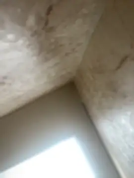 Noa Todokoro online show from 10-16-25, 03:02