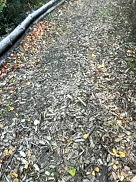 Snapshot of Mlkrrp chatting on 10-10-25, 04:28 Mlkrrp online show from 10-10-25, 04:28