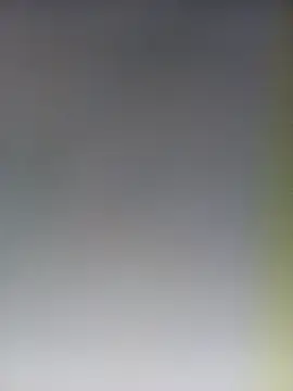 Reeta-rani online show from 10-31-25, 02:01