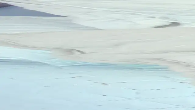 crystal sm online show from 09-18-25, 03:08