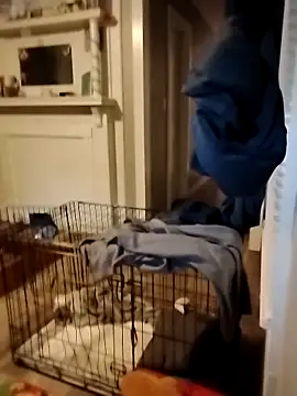 hugenicecock7979 online show from 10-02-25, 11:34