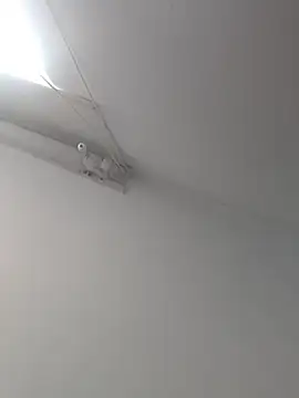 Tattoboy19cm online show from 10-19-25, 08:09