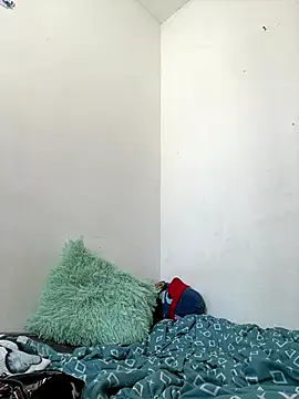 Snapshot of methme chatting on 12-01-25, 04:45 methme online show from 12-01-25, 04:45