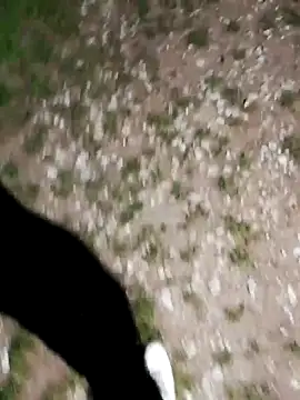 ARTANIS20 online show from 10-21-25, 08:20