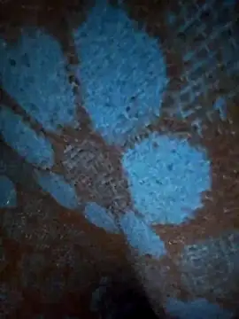 ParousFlow online show from 01-19-26, 12:42