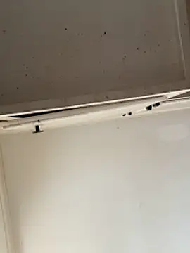 curis4270panda online show from 02-15-26, 07:54