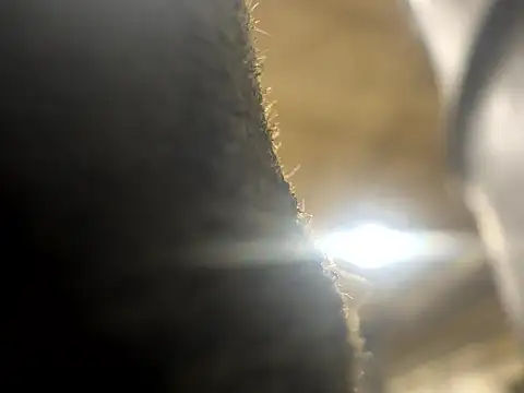 curis4270panda online show from 03-18-26, 11:41