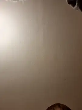 gazb90 online show from 11-14-25, 11:24