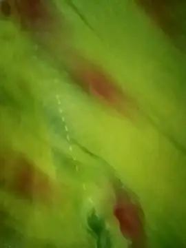 Shiya janu online show from 10-27-25, 11:14