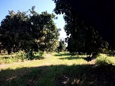 stefanoss321 online show from 03-09-26, 09:24