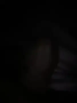 halopc online show from 02-03-26, 06:46