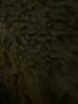 Snapshot of anonimgirl18old chatting on 02-21-26, 06:31 anonimgirl18old online show from 02-21-26, 06:31