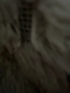 Snapshot of anonimgirl18old chatting on 02-25-26, 08:35 anonimgirl18old online show from 02-25-26, 08:35