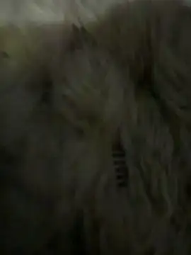 Snapshot of anonimgirl18old chatting on 03-06-26, 05:09 anonimgirl18old online show from 03-06-26, 05:09