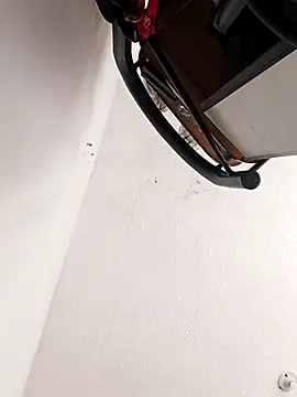 leon8013A online show from 11-14-25, 05:55