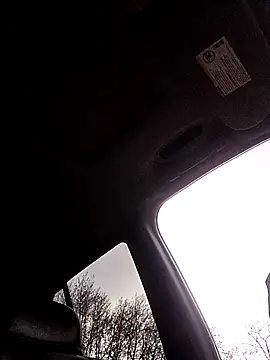 1234locos online show from 03-31-26, 12:38