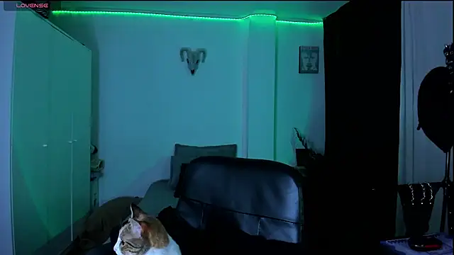 kattusauruss online show from 03-22-26, 02:26