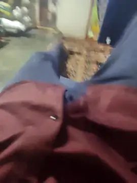 Snapshot of Telugu_person12 chatting on 03-16-26, 03:38 Telugu person12 online show from 03-16-26, 03:38