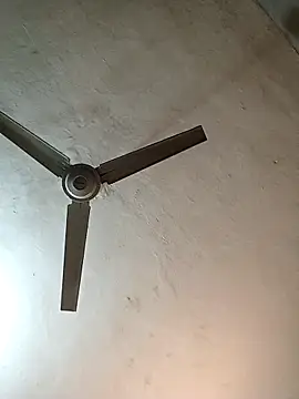 crees99 online show from 10-11-25, 02:11