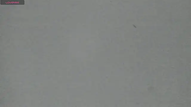 Sophia Ebony online show from 05-05-26, 12:13