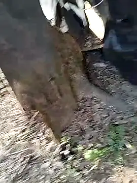 Odecca11 online show from 03-24-26, 01:49