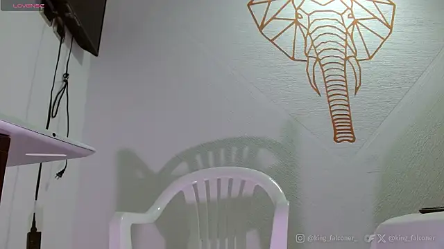 king falconer online show from 02-21-26, 05:03