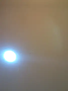 Oriana111 online show from 03-12-26, 12:00