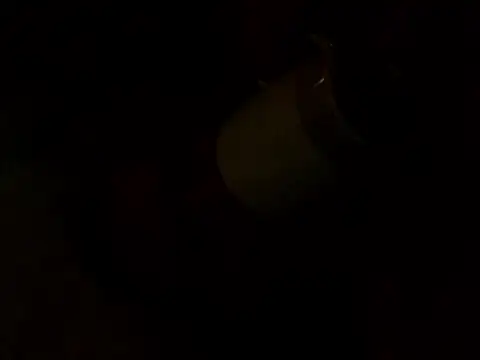 PointXXL online show from 12-16-25, 02:33